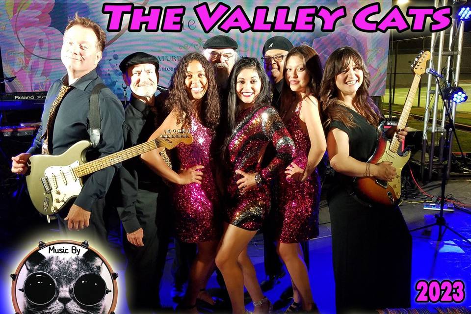 Valley Cats Party!