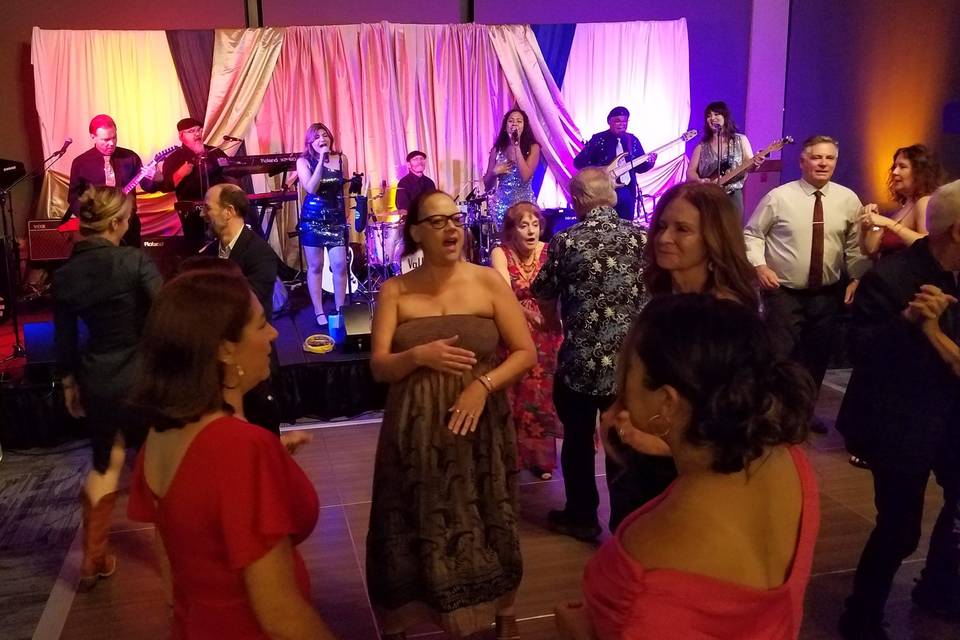 Valley Cats Party!