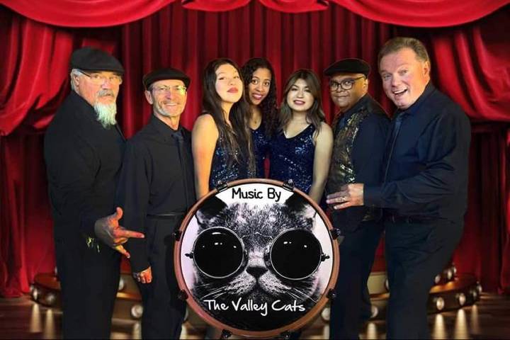 Valley Cats Posing!