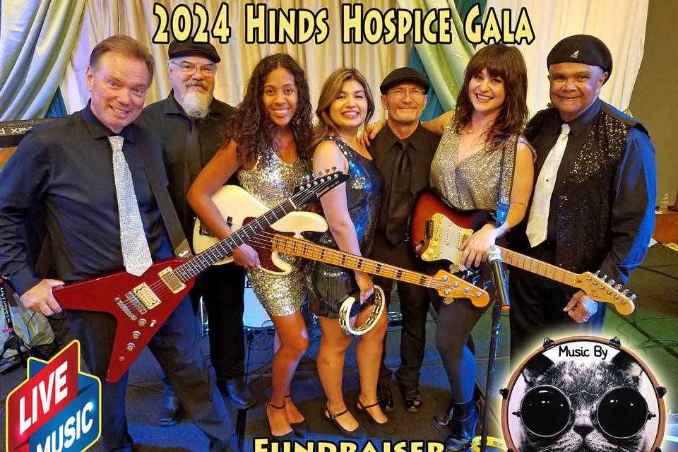 Valley Cats Show Party!