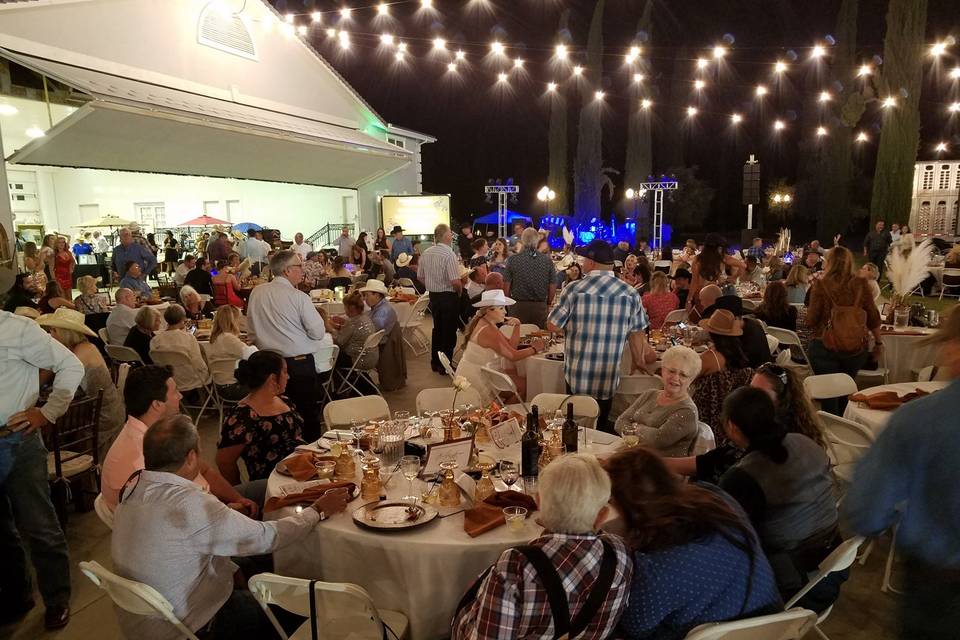 BIG Outdoor Valley Cats Event!