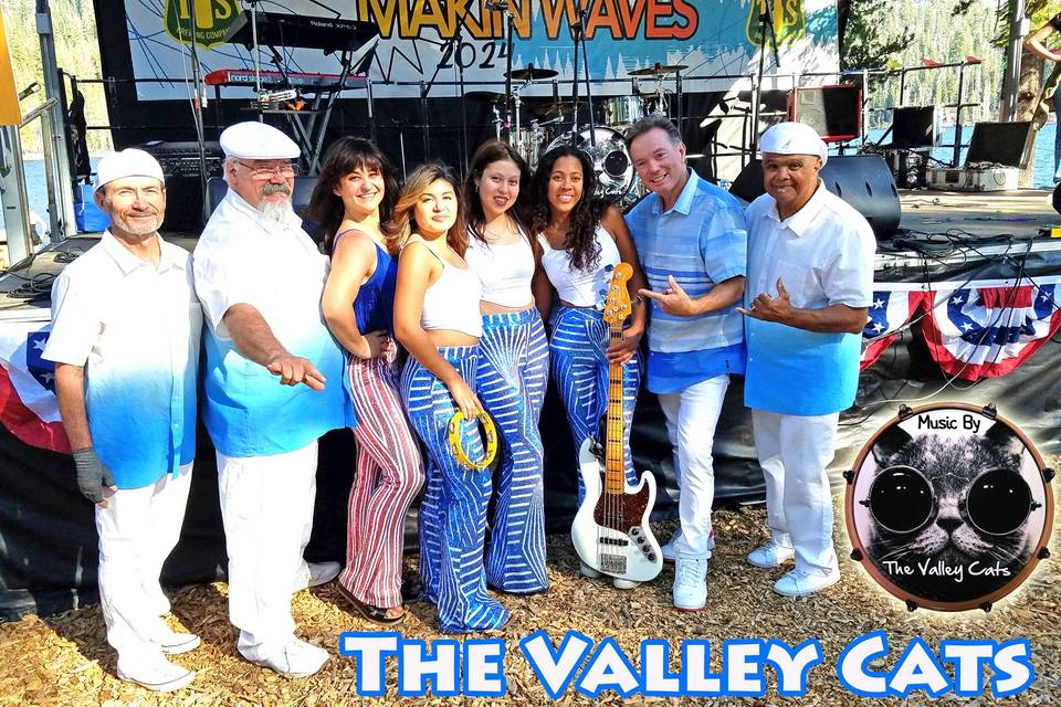 Valley Cats Festival!