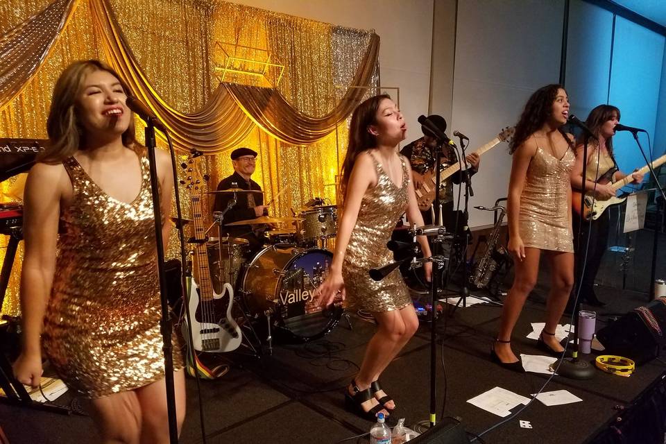 Valley Cats On-Stage!