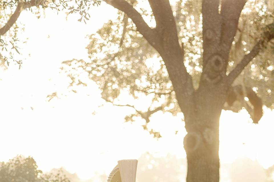 Ceremony Harpist