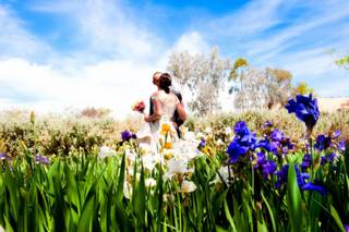 Tucson Botanical Gardens