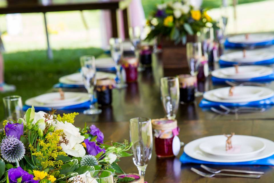 Tented Elopements, Keene NY