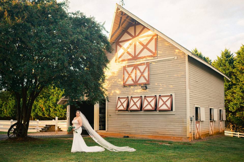 Rachel and the Horse Barn