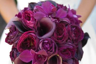 deep purple bridal bouquet