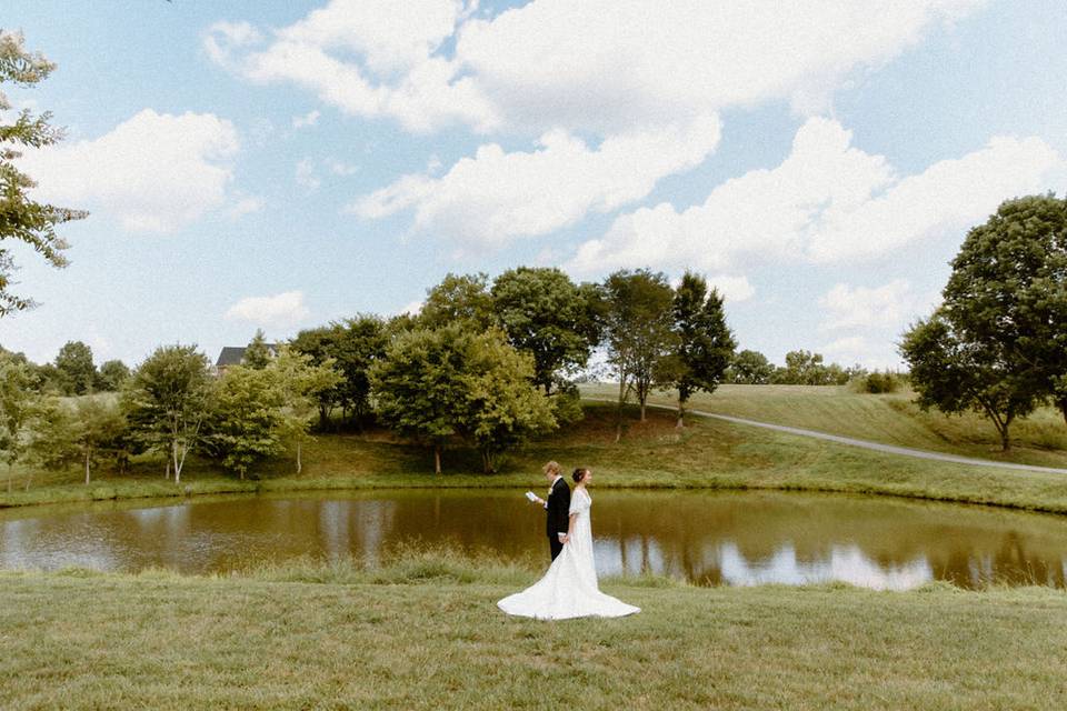 That view!