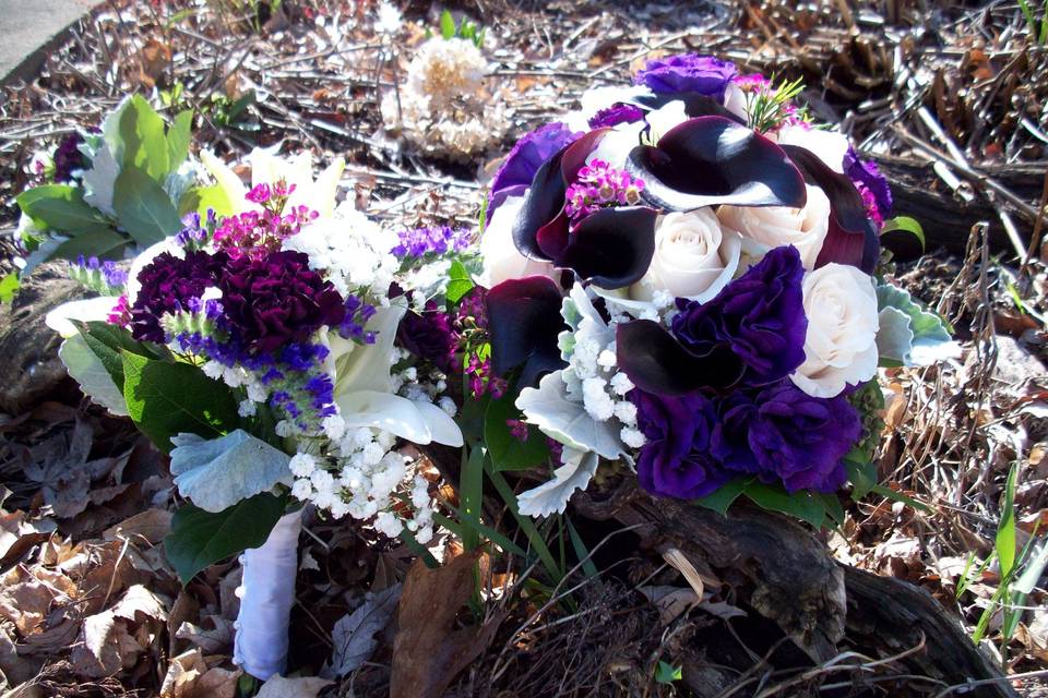 Luxurious purple petals