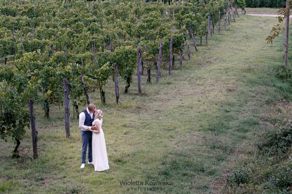 Weddingin vineyard