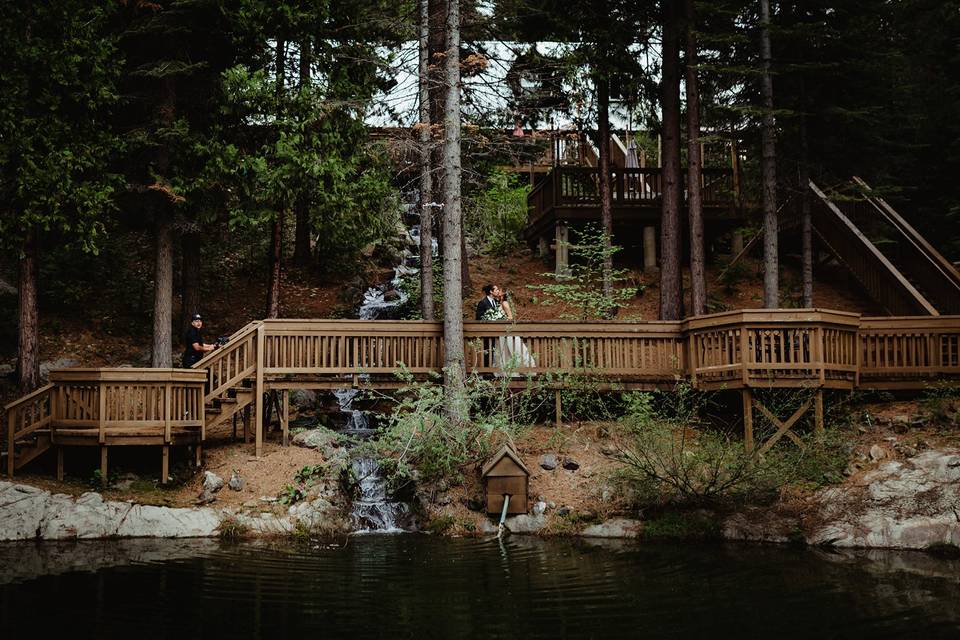 Evergreen Garden and Pond