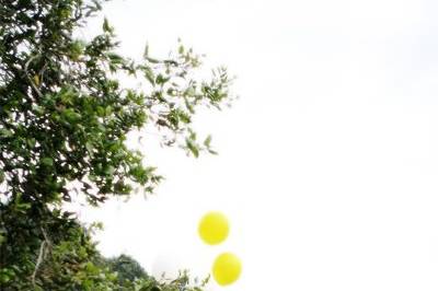 Katee Grace Photography