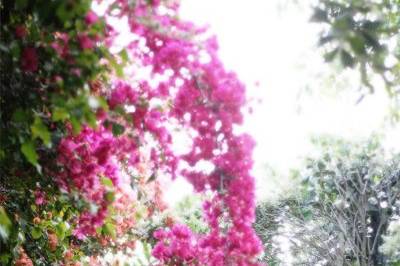 Katee Grace Photography