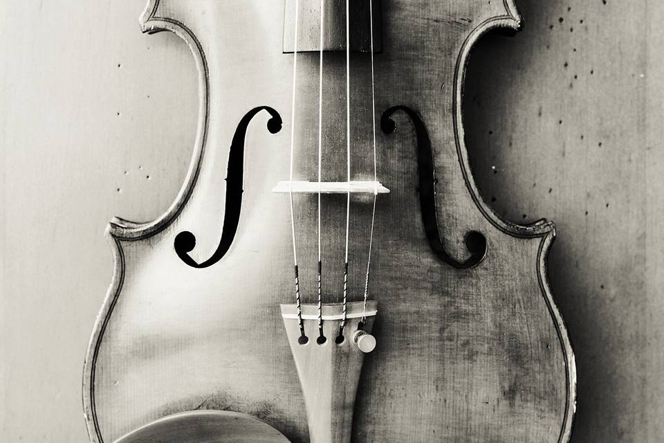 Violin