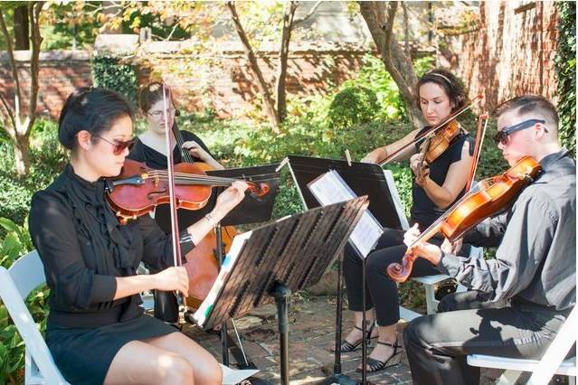 Volare String Quartet