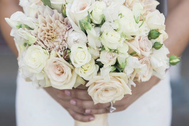 Julia Joy Photography