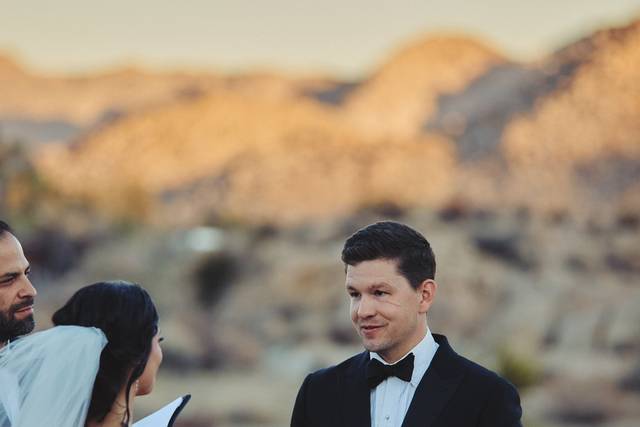 The Vows