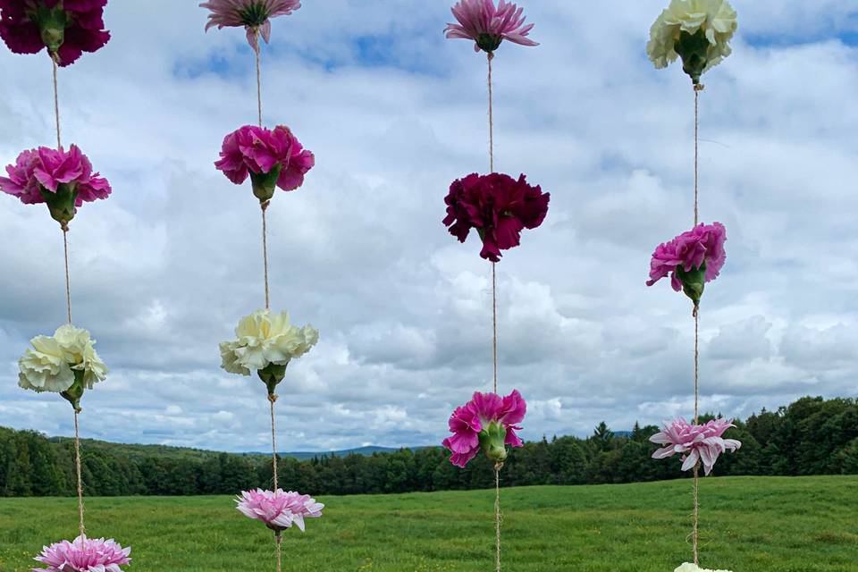 Decorations by field