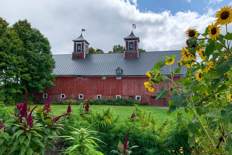 Turning Stone Farm