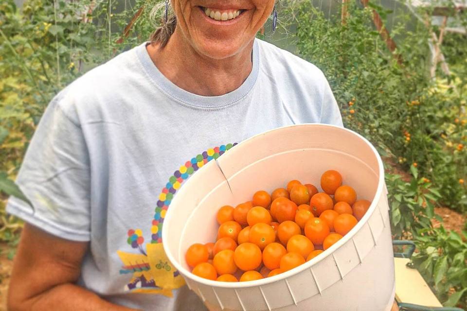 Harvest