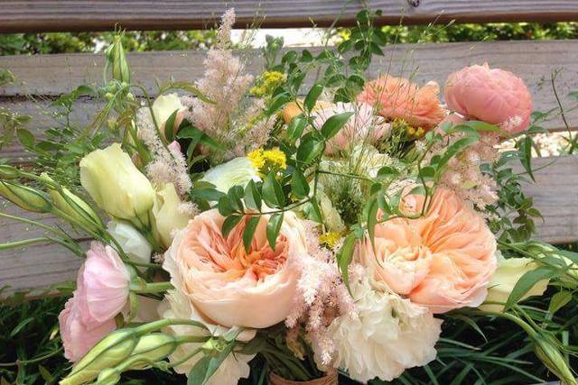 Garden roses