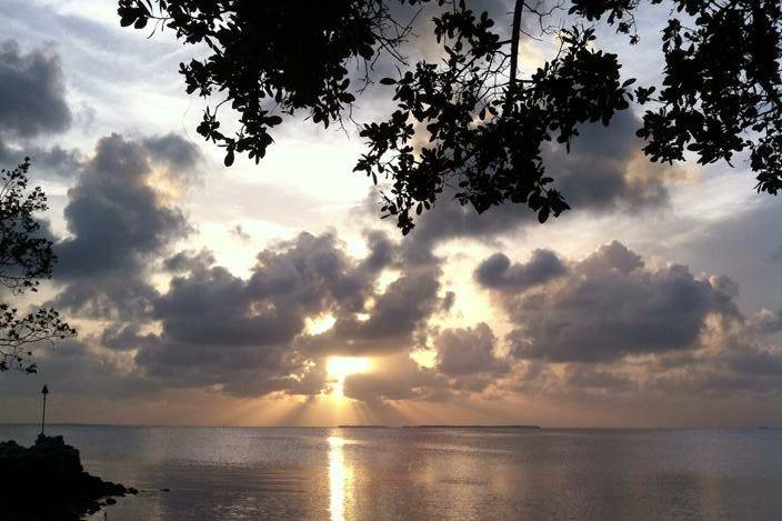 Florida Keys Day Of Coordinator