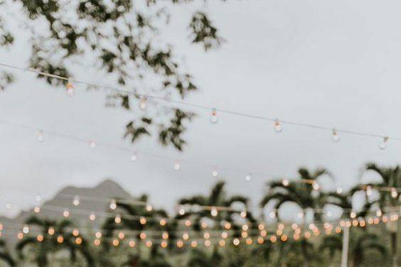 Reception at Moli'i Gardens (Upper Lawn)