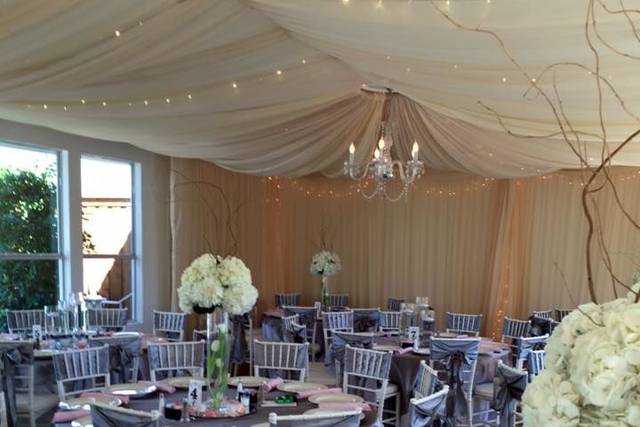 Dining area set-up