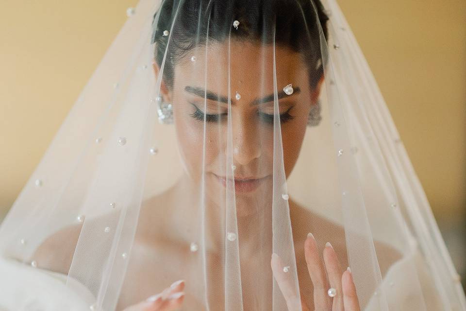 Bride and veil