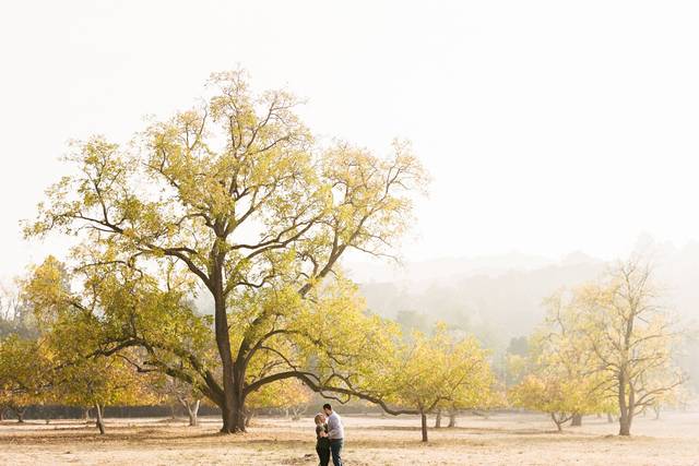 Smoky Engagement in Fall '18