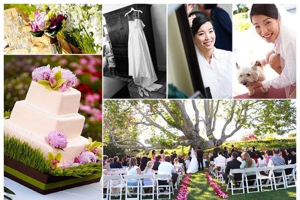 Allen King Wedding Photography