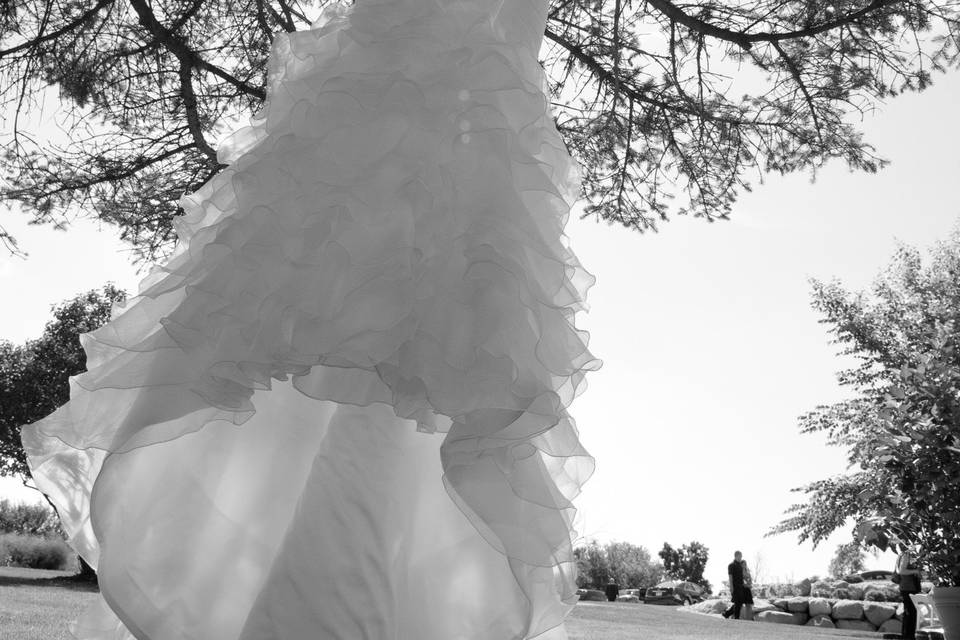 Thomas L Wedding Photography Services LLC