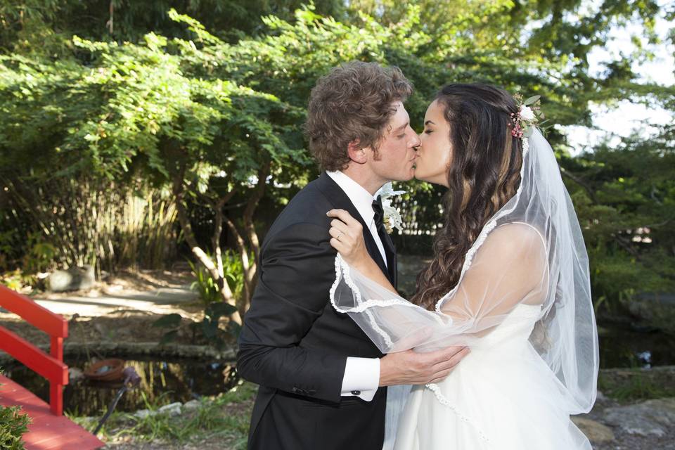 Thomas L Wedding Photography Services LLC