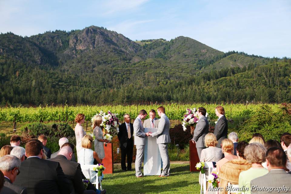 St. Francis Winery & Vineyards