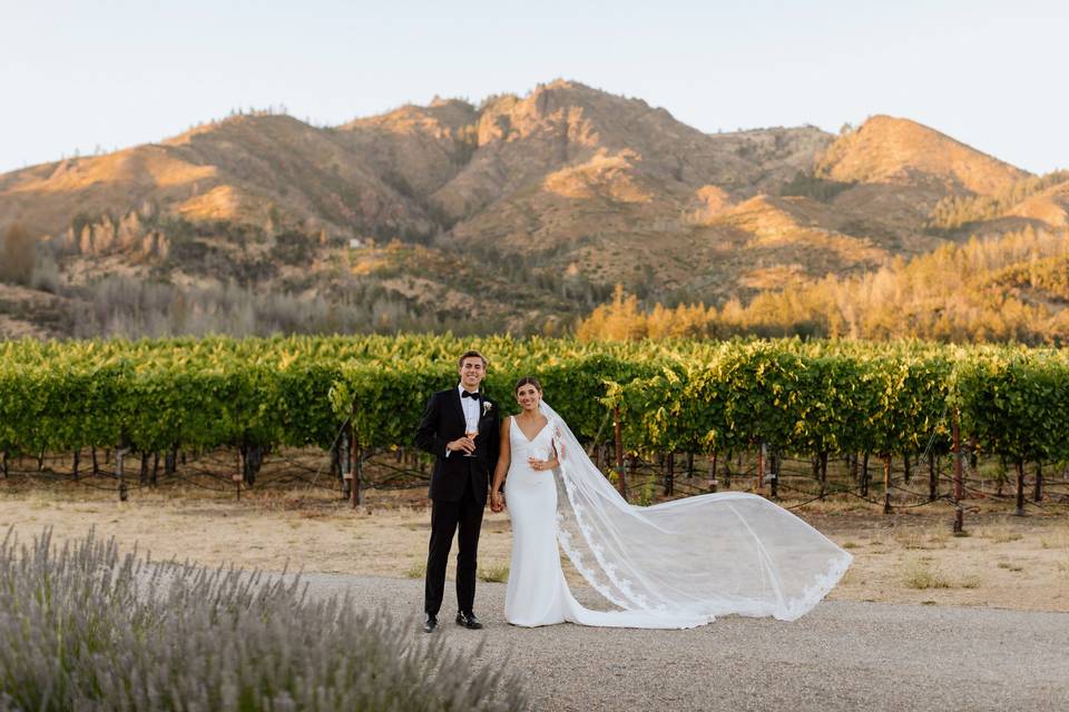 St. Francis Winery & Vineyards