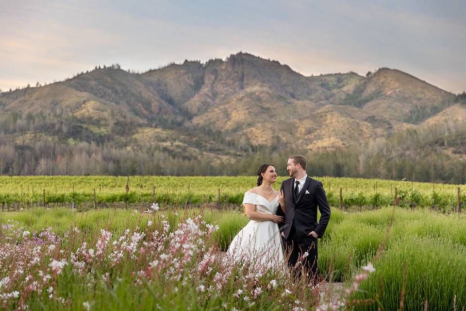 St. Francis Winery & Vineyards