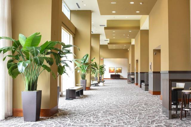 Sunlit Pre-Function Space