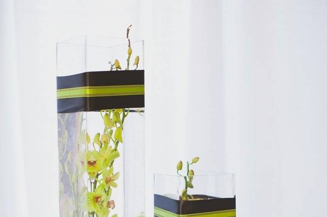 Plant vases