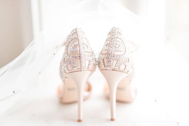 Renee Nicolo Photography