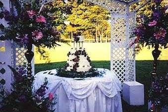 Outdoor wedding cake setup