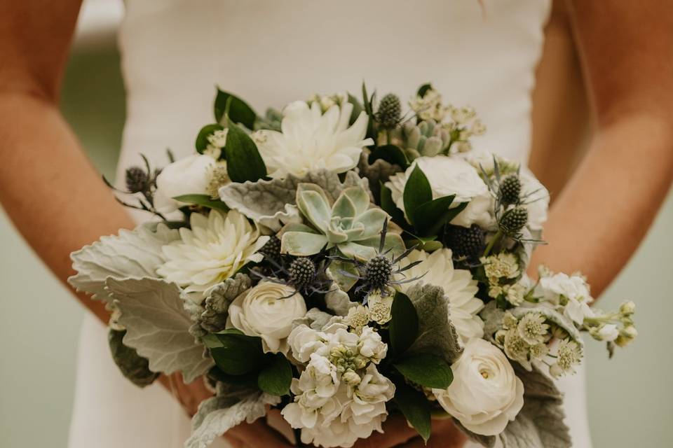 Dusty White and Succulents