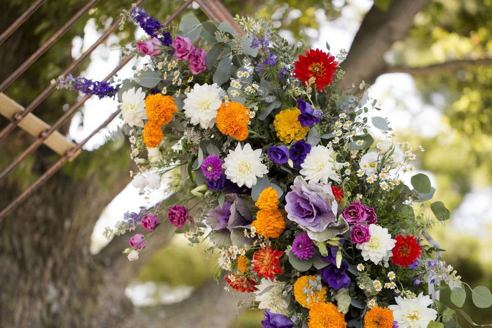 Yellow, purple, and white flowers