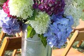 Blue Ridge Floral Design