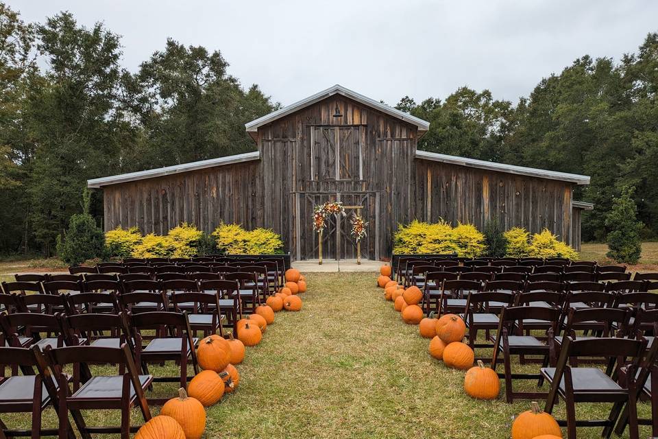 Pumpkin Patch