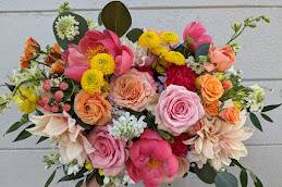 Vibrant Blooms