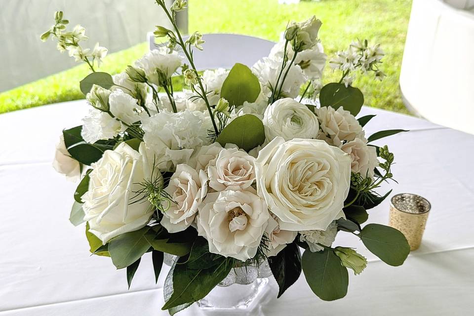 Classic Whites