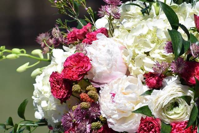 Fresh flowers
