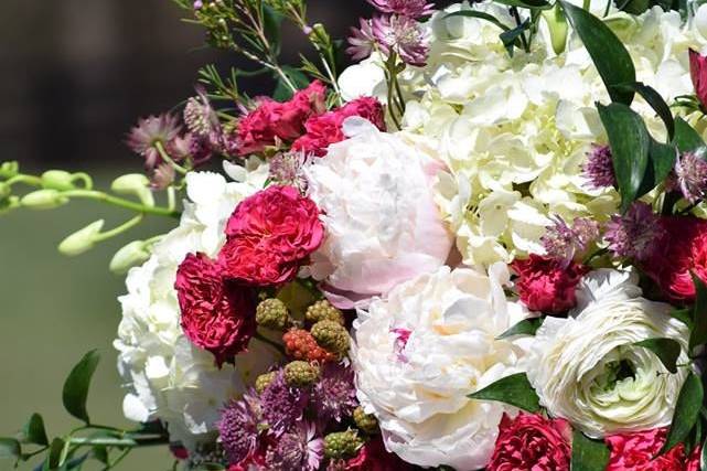 Fresh flowers