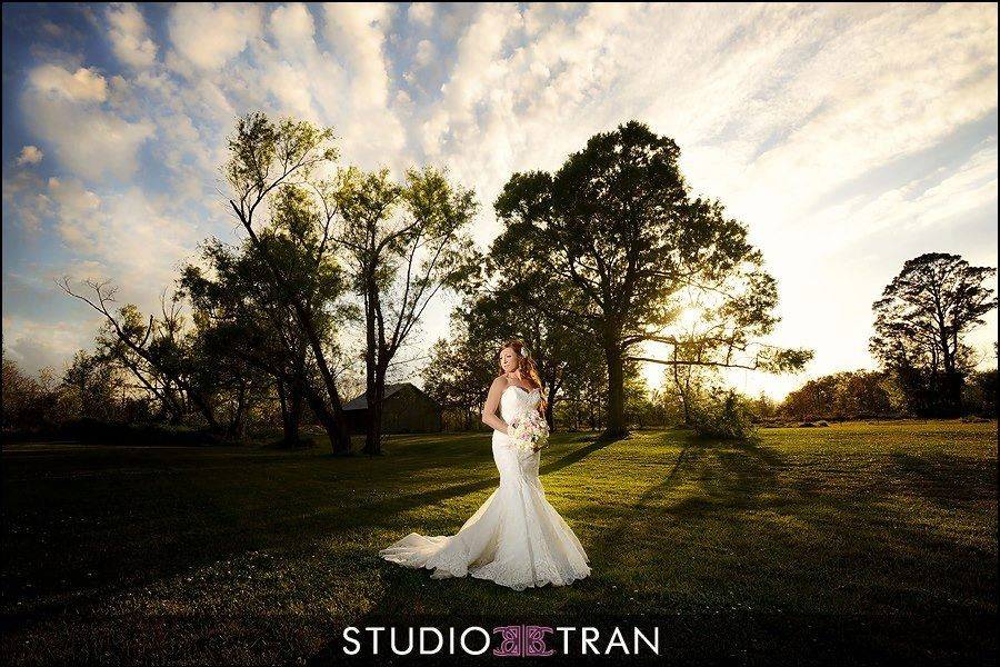 Bride surrounded by nature